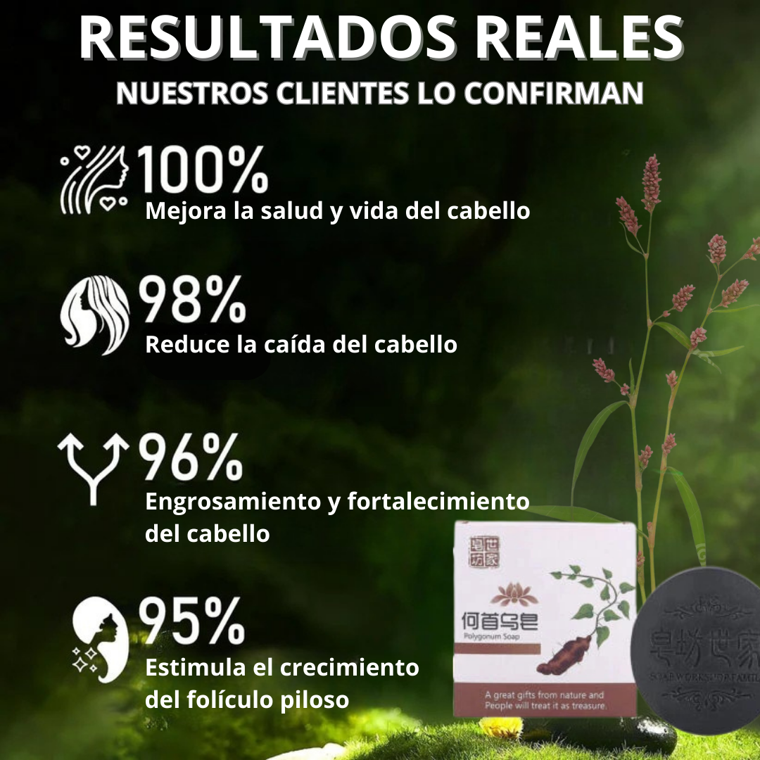 SHAMPOO EN BARRA EXTRACTO DE POLYGONUM ORIGINAL đ„OFERTA 2X1 đ