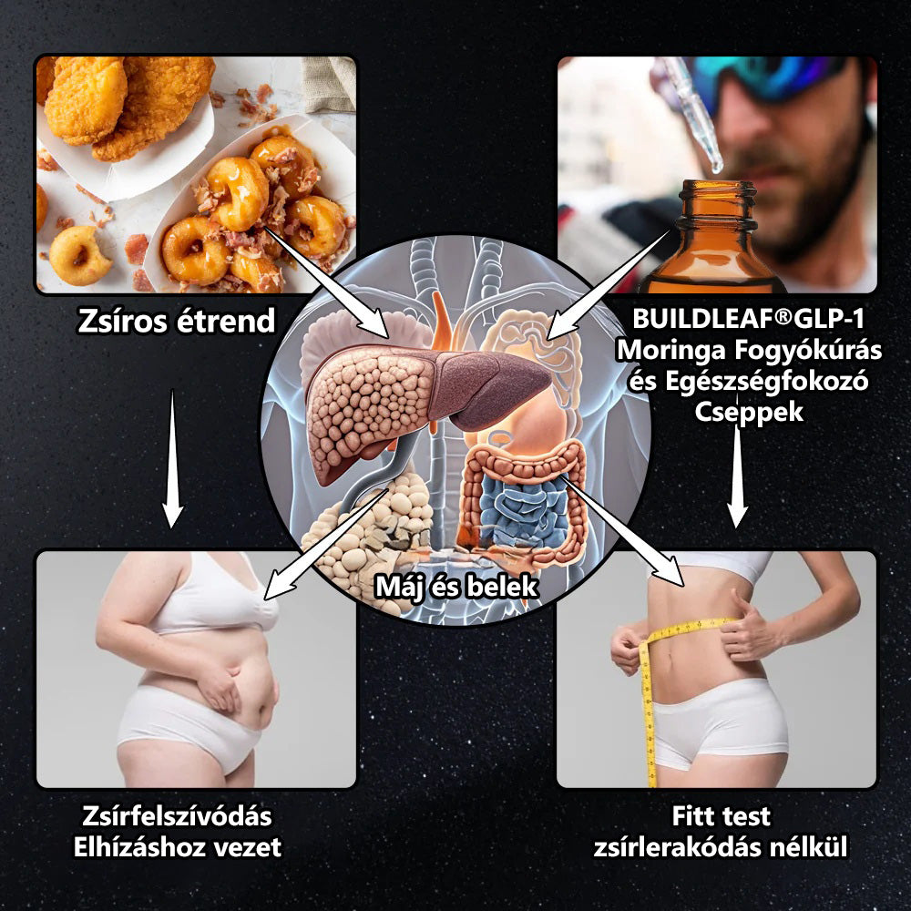 A Magyar Orvosi Kamara hivatalos ajánlásával 💥💥| BuildLeaf® Berberin + Moringa GLP-1 Gyógynövényes Cseppek (Magyar Formula)