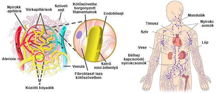 💎Laleia® Magnetológiás Moissanit Gyémánt Gyűrű