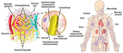 💎Laleia® Magnetológiás Moissanit Gyémánt Gyűrű
