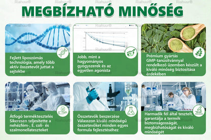 💐𝑹𝒊𝒂𝒉𝒖𝒖𝒓® Moringa × Berberin × AMPK 8-Benefit Karcsúsító & Metabolikus Nano Mikrotűs Tapasz 🇭🇺 (Naponta csak egyszer, látható változások már 7 nap alatt) ✅ Elhízás, megereszkedett bőr, cukorbetegség, alvási apnoe, ízületi problémák és még sok más esetén 💥