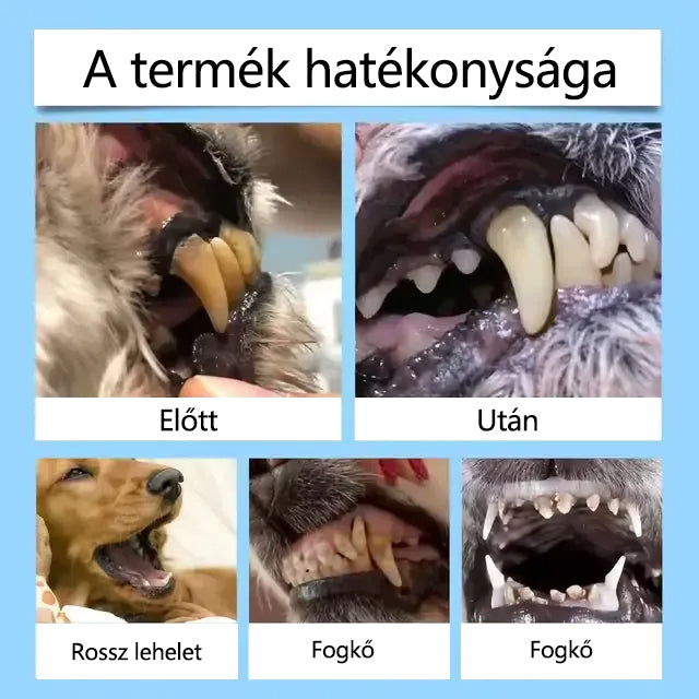 🌟[Hivatalos áruház] CleraNaure® Pet Dental & Digestive Health Oral Liquid – Frissíti a leheletet, eltávolítja a fogkövet, elősegíti az íny regenerálódását és stabilizálja a fogakat (macskák és kutyák számára) – Ma 80% kedvezménnyel!