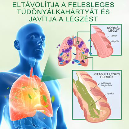 🍀🍀Gooyeer™ Fejlett Tüdőtisztító Spray - Tüdőspecialisták ajánlásával -CE tanúsítvánnyal rendelkezik