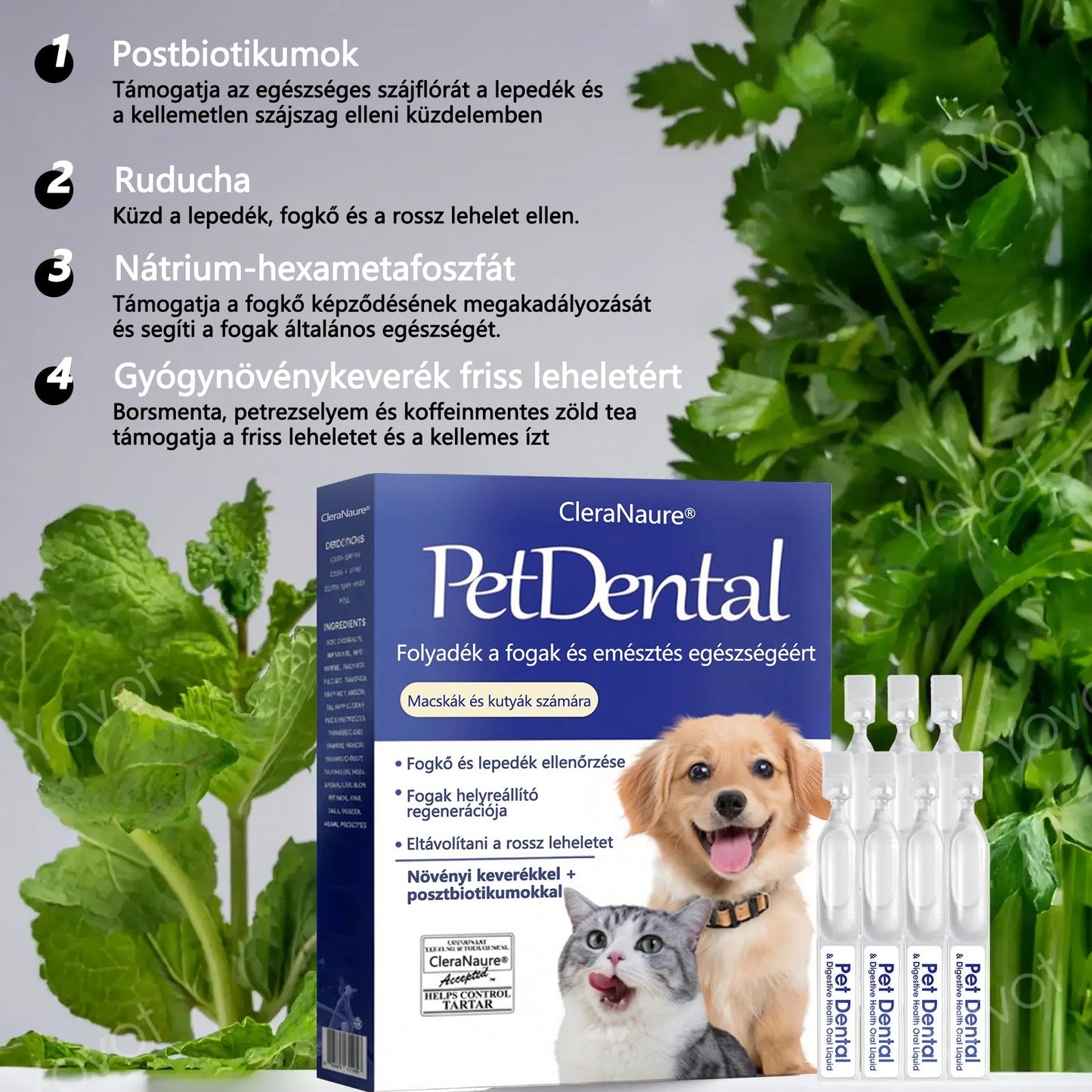 🌟[Hivatalos áruház] CleraNaure® Pet Dental & Digestive Health Oral Liquid – Frissíti a leheletet, eltávolítja a fogkövet, elősegíti az íny regenerálódását és stabilizálja a fogakat (macskák és kutyák számára) – Ma 80% kedvezménnyel!