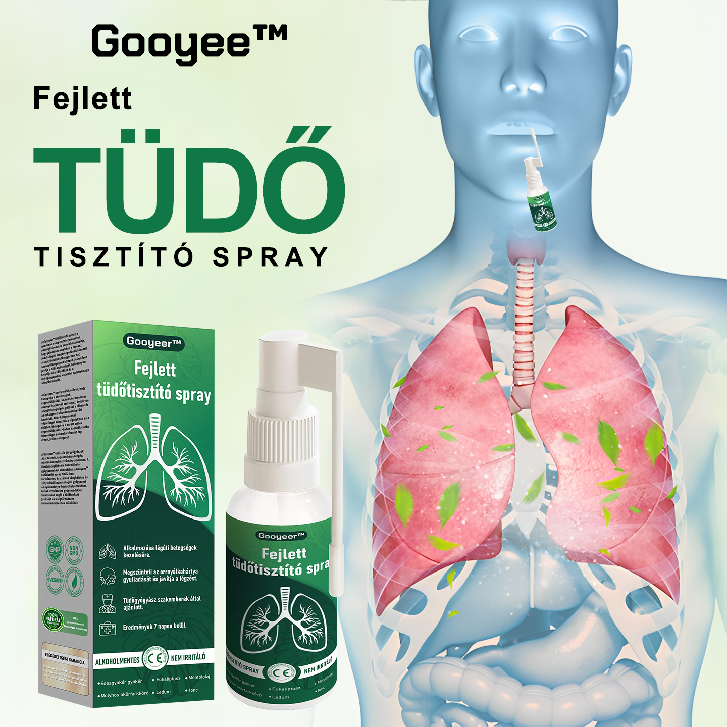 🍀🍀Gooyeer™ Fejlett Tüdőtisztító Spray - Tüdőspecialisták ajánlásával -CE tanúsítvánnyal rendelkezik